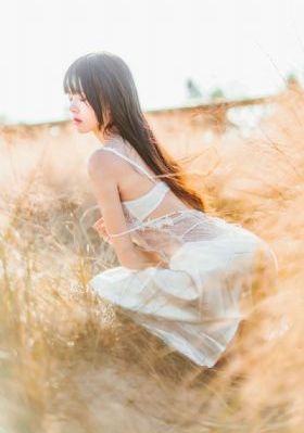 三节片