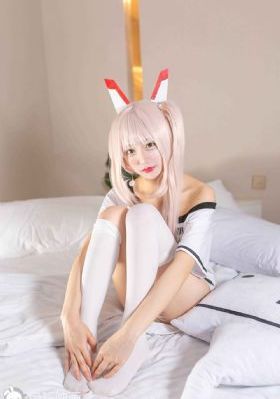 细狗网页端登录入口免费版